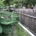 Dřevěný plot byl nahrazen také dřevěným, leč lépe zpracovaným